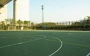 スポーツ/レクリエーション